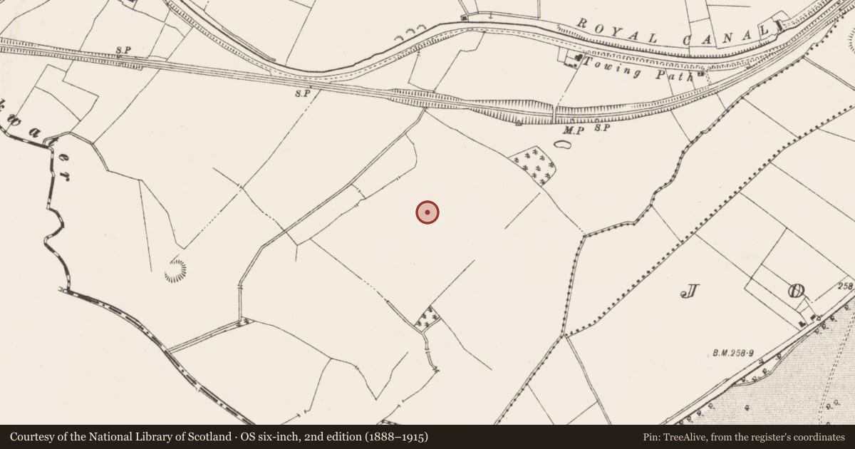 Ordnance Survey six-inch map, 2nd edition (1888–1915) covering the location of Furnace, Newcastle, County Meath, with a pin at the register's coordinates