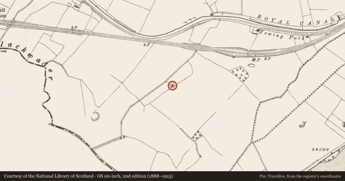 Ordnance Survey six-inch map, 2nd edition (1888–1915) covering the location of Kiln, Newcastle, County Meath, with a pin at the register's coordinates