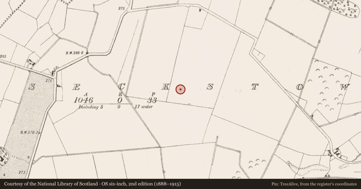 Ordnance Survey six-inch map, 2nd edition (1888–1915) covering the location of Ring-ditch, Posseckstown, County Meath, with a pin at the register's coordinates