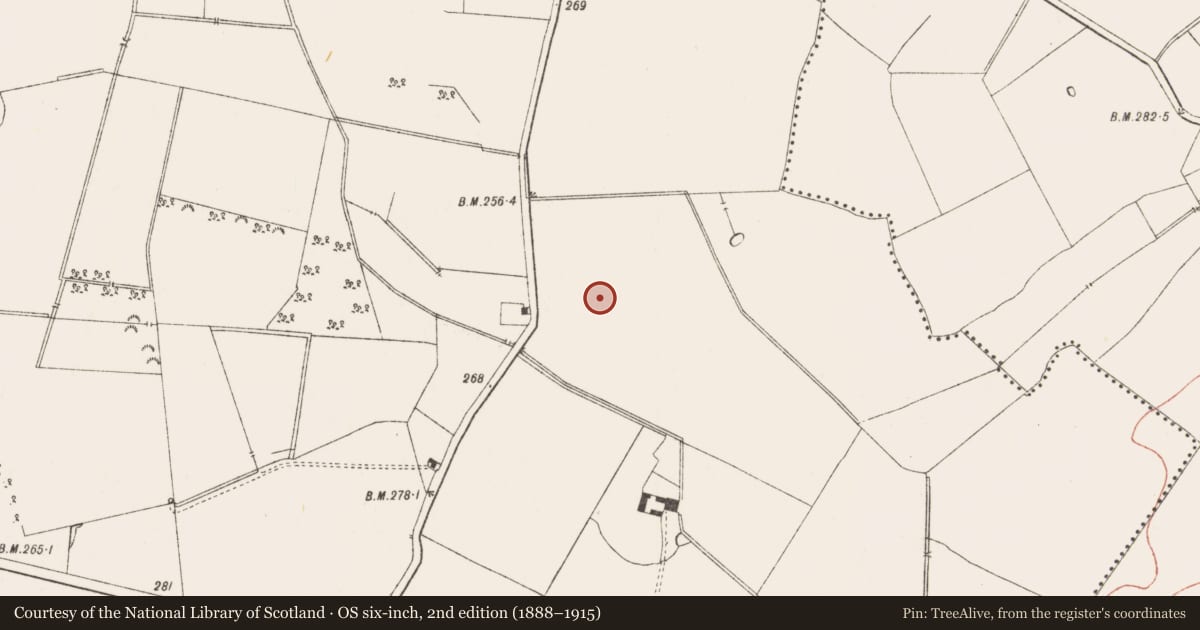 Ordnance Survey six-inch map, 2nd edition (1888–1915) covering the location of Ring-ditch, Newcastle, County Meath, with a pin at the register's coordinates