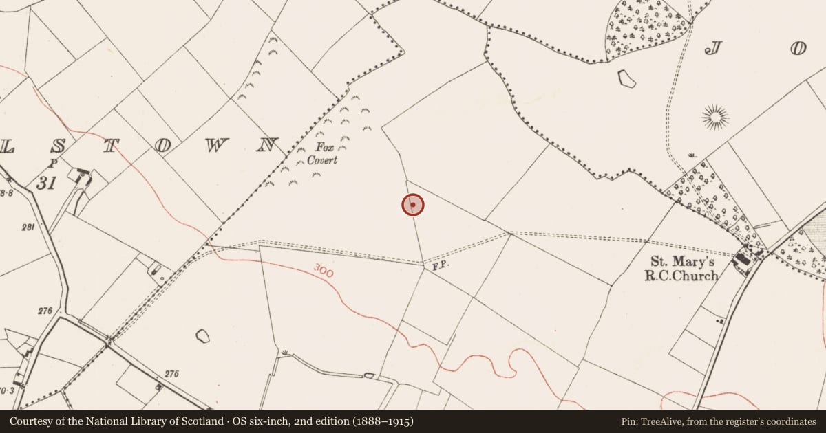 Ordnance Survey six-inch map, 2nd edition (1888–1915) covering the location of Enclosure, Kilcorney, County Meath, with a pin at the register's coordinates