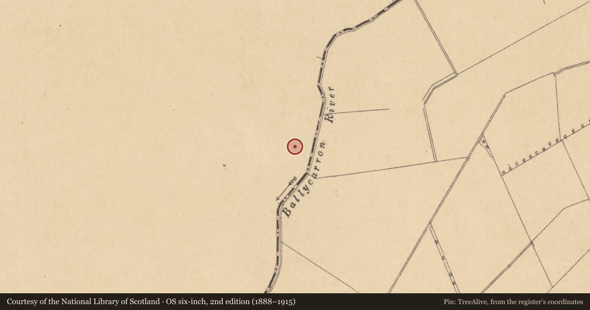 Ordnance Survey six-inch map, 2nd edition (1888–1915) covering the location of Enclosure - large enclosure, Ballycarn, County Meath, with a pin at the register's coordinates