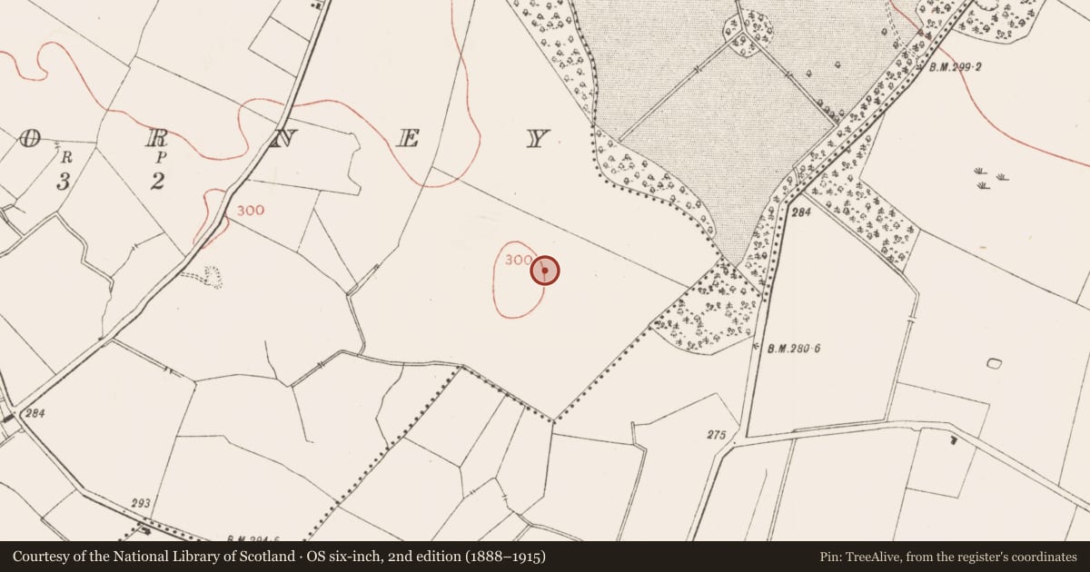Ordnance Survey six-inch map, 2nd edition (1888–1915) covering the location of Enclosure, Kilcorney, County Meath, with a pin at the register's coordinates