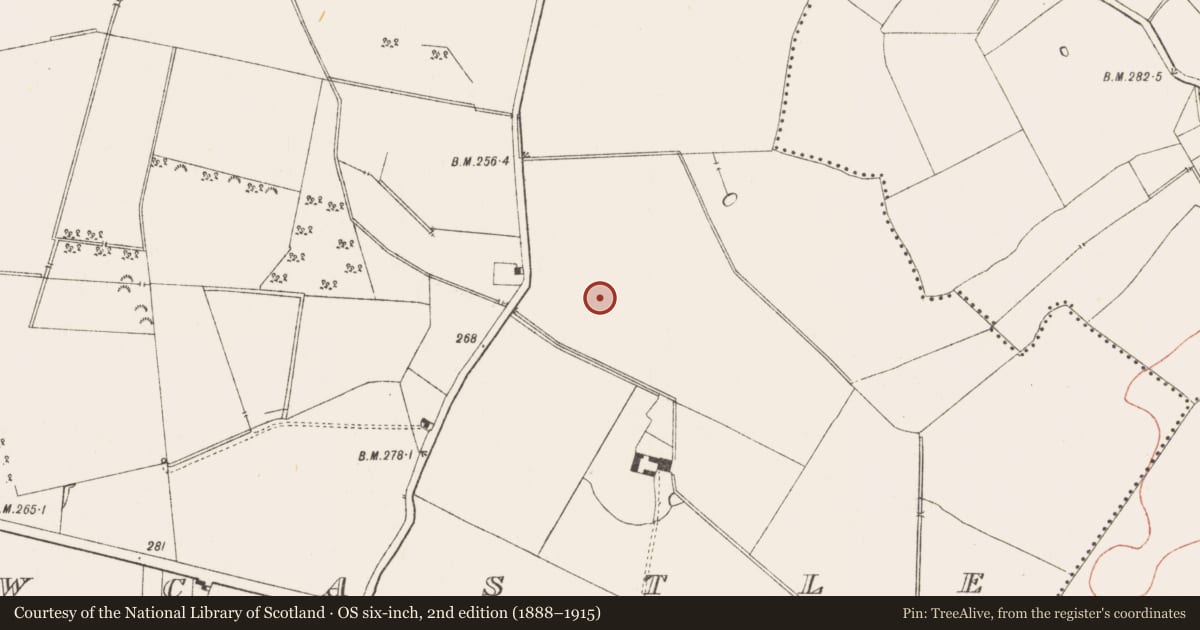 Ordnance Survey six-inch map, 2nd edition (1888–1915) covering the location of Ring-ditch, Newcastle, County Meath, with a pin at the register's coordinates