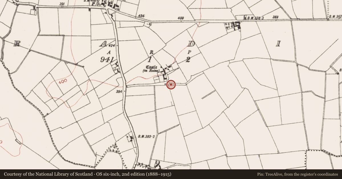 Ordnance Survey six-inch map, 2nd edition (1888–1915) covering the location of Armorial plaque, Garadice, County Meath, with a pin at the register's coordinates