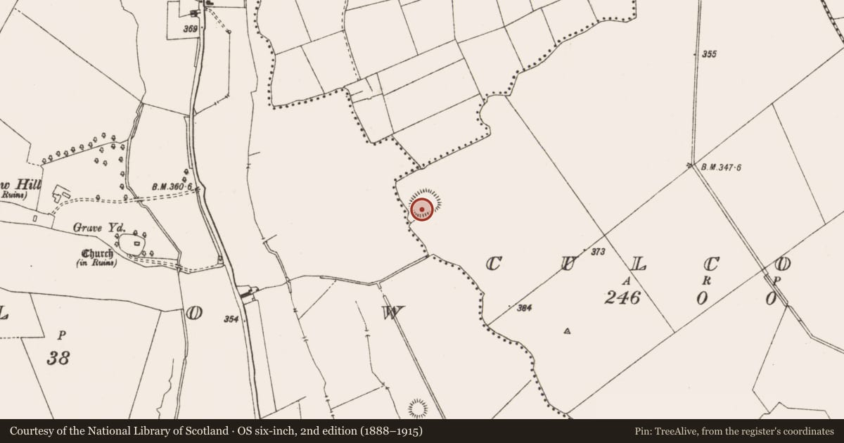 Ordnance Survey six-inch map, 2nd edition (1888–1915) covering the location of Ringfort - rath, Culcor, County Meath, with a pin at the register's coordinates