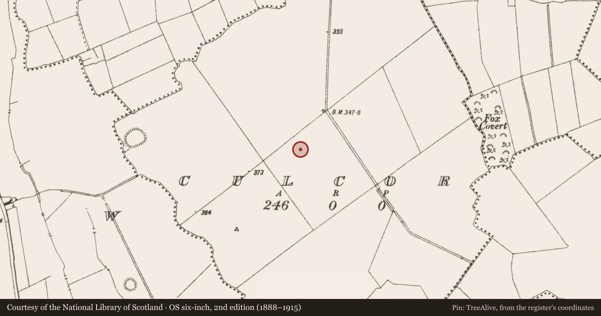 Ordnance Survey six-inch map, 2nd edition (1888–1915) covering the location of Field system, Culcor, County Meath, with a pin at the register's coordinates