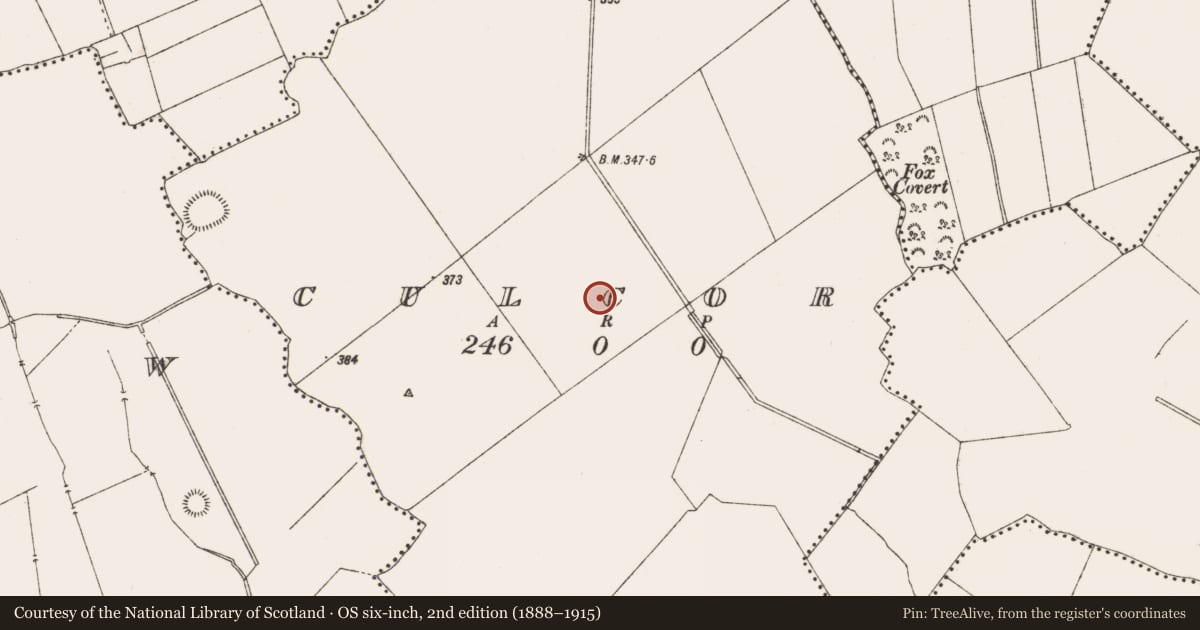 Ordnance Survey six-inch map, 2nd edition (1888–1915) covering the location of Enclosure, Culcor, County Meath, with a pin at the register's coordinates