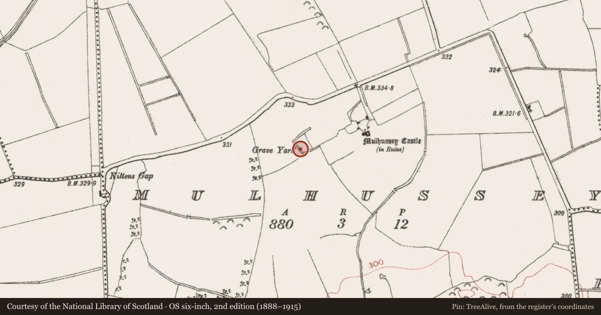 Ordnance Survey six-inch map, 2nd edition (1888–1915) covering the location of Graveyard, Mulhussey, County Meath, with a pin at the register's coordinates
