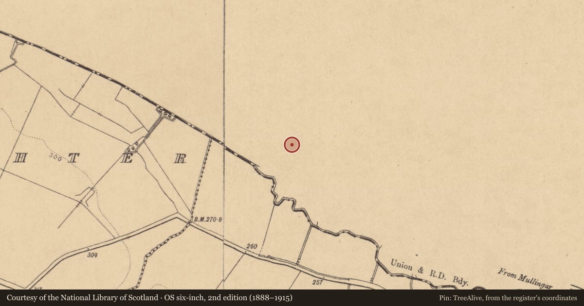 Ordnance Survey six-inch map, 2nd edition (1888–1915) covering the location of Ringfort - rath, Oldtown (Deece Upper By., Gallow Par.), County Meath, with a pin at the register's coordinates