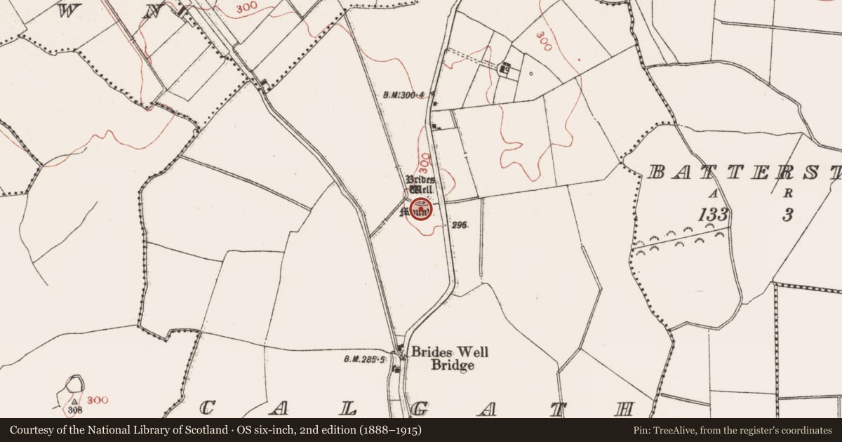 Ordnance Survey six-inch map, 2nd edition (1888–1915) covering the location of Mound, Calgath, County Meath, with a pin at the register's coordinates