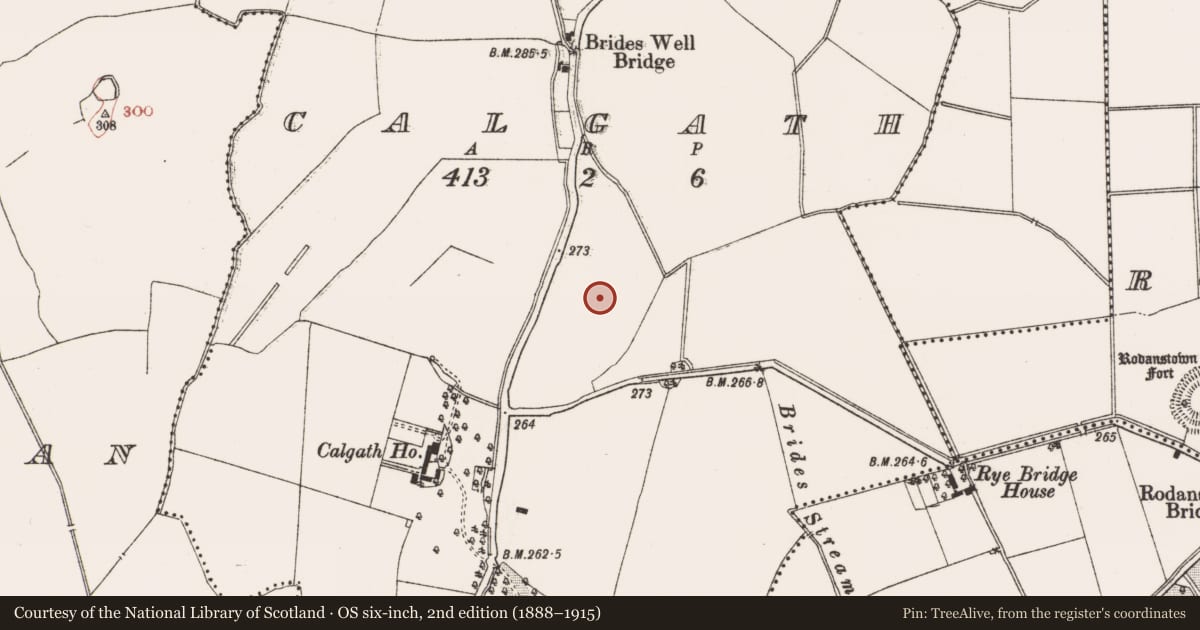 Ordnance Survey six-inch map, 2nd edition (1888–1915) covering the location of Field system, Calgath, County Meath, with a pin at the register's coordinates