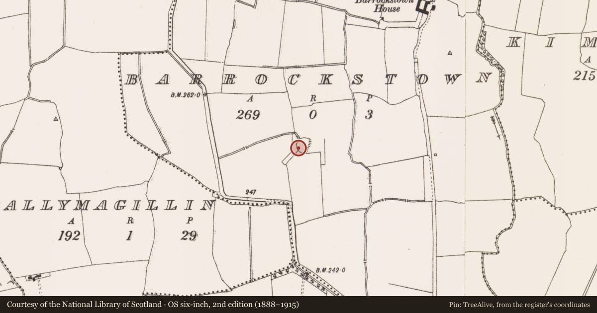 Ordnance Survey six-inch map, 2nd edition (1888–1915) covering the location of Ringfort - rath, Barrockstown, County Meath, with a pin at the register's coordinates