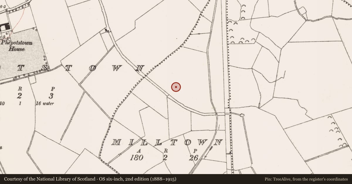 Ordnance Survey six-inch map, 2nd edition (1888–1915) covering the location of Field system, Milltown, County Meath, with a pin at the register's coordinates
