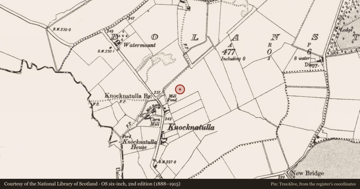 Ordnance Survey six-inch map, 2nd edition (1888–1915) covering the location of Ring-ditch, Dolanstown, County Meath, with a pin at the register's coordinates