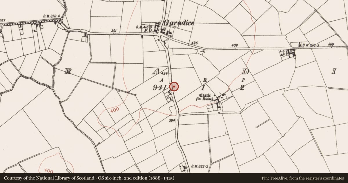 Ordnance Survey six-inch map, 2nd edition (1888–1915) covering the location of Burial, Garadice, County Meath, with a pin at the register's coordinates