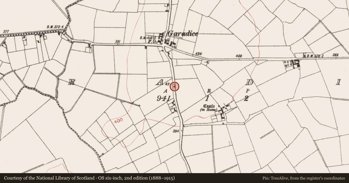 Ordnance Survey six-inch map, 2nd edition (1888–1915) covering the location of Field boundary, Garadice, County Meath, with a pin at the register's coordinates