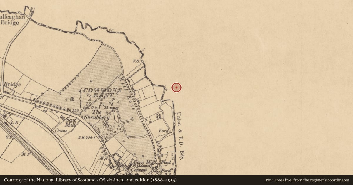 Ordnance Survey six-inch map, 2nd edition (1888–1915) covering the location of Burnt mound, Dolanstown, County Meath, with a pin at the register's coordinates
