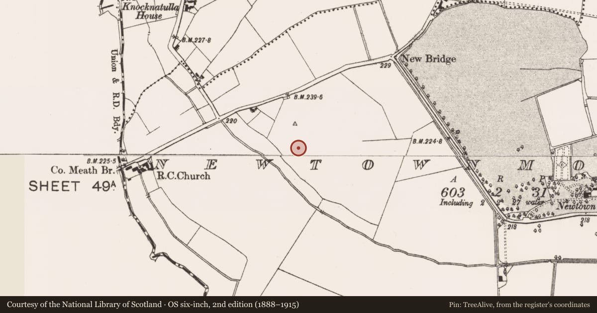 Ordnance Survey six-inch map, 2nd edition (1888–1915) covering the location of Enclosure, Newtownmoyaghy (Deece Upper By., Moyglare Par.), County Meath, with a pin at the register's coordinates