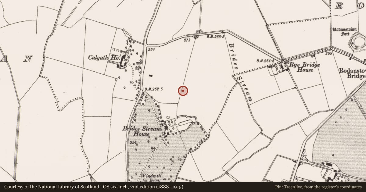 Ordnance Survey six-inch map, 2nd edition (1888–1915) covering the location of Enclosure, Calgath, County Meath, with a pin at the register's coordinates