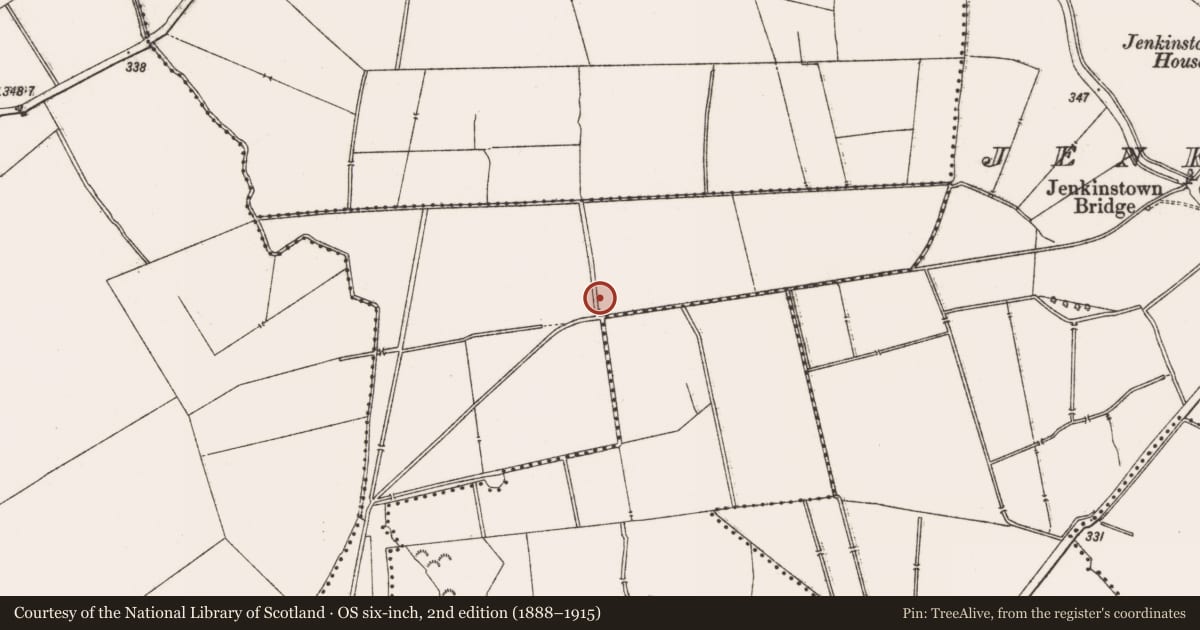 Ordnance Survey six-inch map, 2nd edition (1888–1915) covering the location of Field system, Milltown, County Meath, with a pin at the register's coordinates