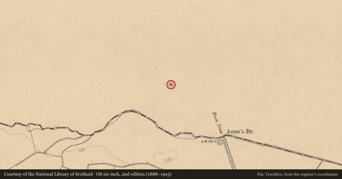 Ordnance Survey six-inch map, 2nd edition (1888–1915) covering the location of Church, Moyglare, County Meath, with a pin at the register's coordinates