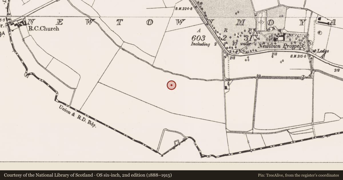 Ordnance Survey six-inch map, 2nd edition (1888–1915) covering the location of Ring-ditch, Newtownmoyaghy (Deece Upper By., Rodanstown Par.), County Meath, with a pin at the register's coordinates