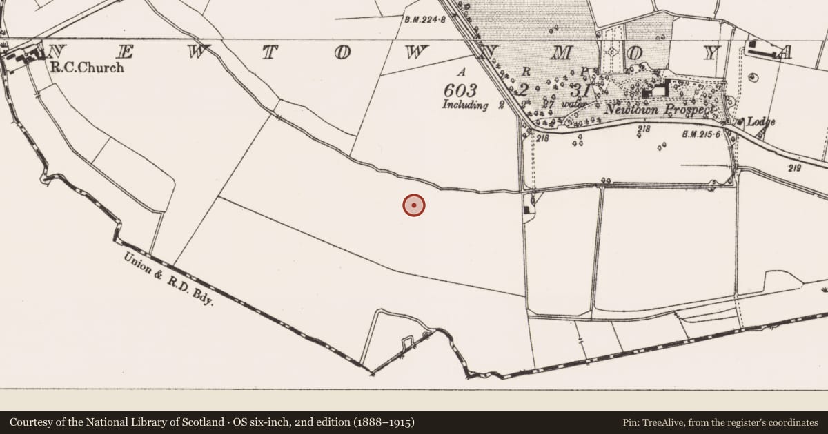 Ordnance Survey six-inch map, 2nd edition (1888–1915) covering the location of Ring-ditch, Newtownmoyaghy (Deece Upper By., Rodanstown Par.), County Meath, with a pin at the register's coordinates