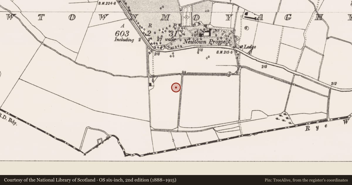 Ordnance Survey six-inch map, 2nd edition (1888–1915) covering the location of Ring-ditch, Newtownmoyaghy (Deece Upper By., Moyglare Par.), County Meath, with a pin at the register's coordinates