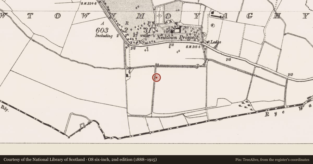 Ordnance Survey six-inch map, 2nd edition (1888–1915) covering the location of Ring-ditch, Newtownmoyaghy (Deece Upper By., Moyglare Par.), County Meath, with a pin at the register's coordinates