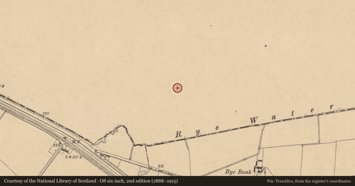 Ordnance Survey six-inch map, 2nd edition (1888–1915) covering the location of Ring-ditch, Newtownmoyaghy (Deece Upper By., Moyglare Par.), County Meath, with a pin at the register's coordinates