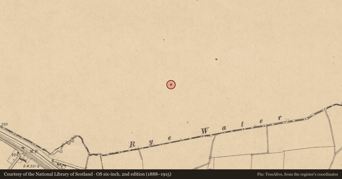 Ordnance Survey six-inch map, 2nd edition (1888–1915) covering the location of Enclosure, Newtownmoyaghy (Deece Upper By., Moyglare Par.), County Meath, with a pin at the register's coordinates