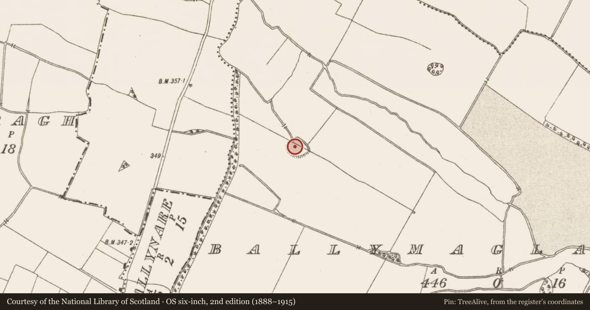 Ordnance Survey six-inch map, 2nd edition (1888–1915) covering the location of Enclosure, Ballymaglassan, County Meath, with a pin at the register's coordinates