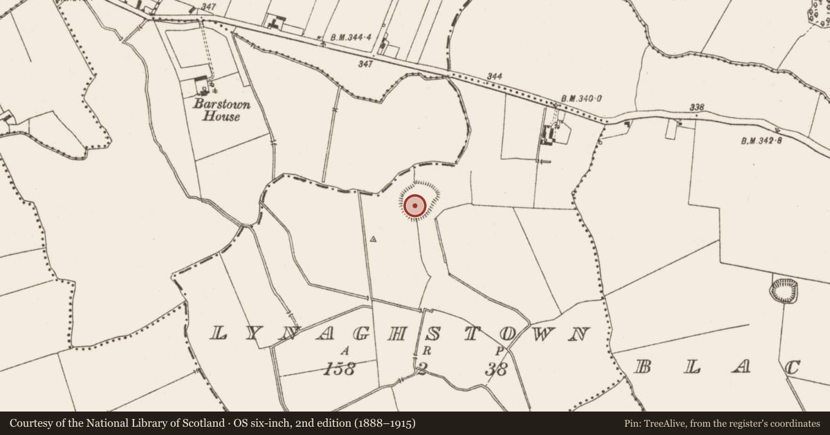 Ordnance Survey six-inch map, 2nd edition (1888–1915) covering the location of Ringfort - rath, Lynaghstown, County Meath, with a pin at the register's coordinates