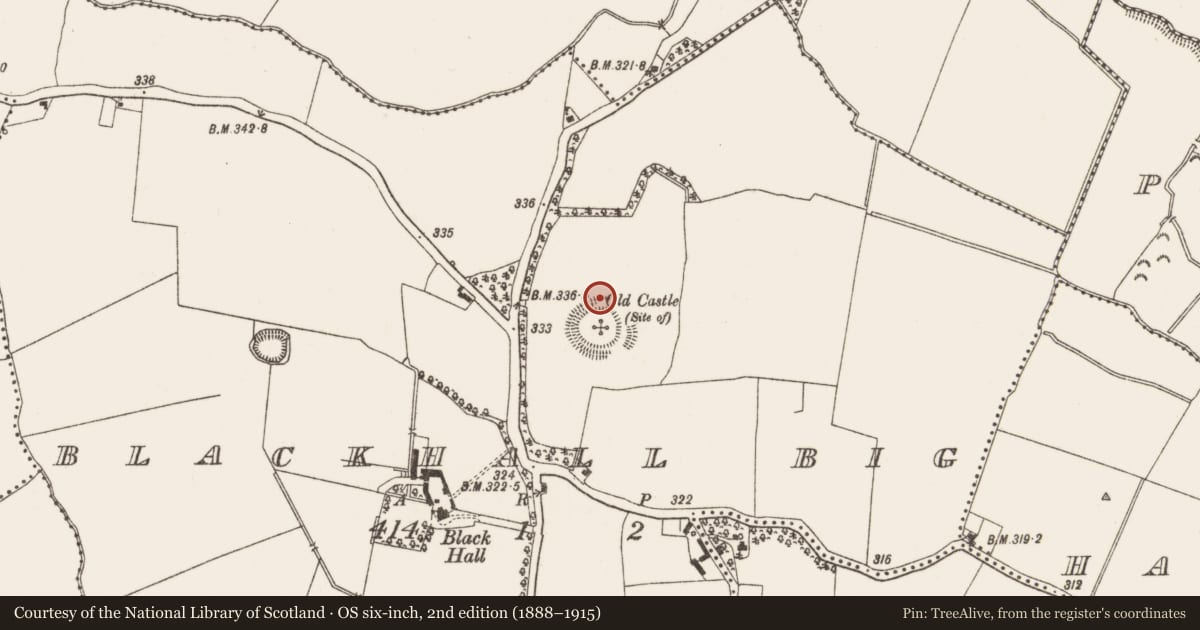 Ordnance Survey six-inch map, 2nd edition (1888–1915) covering the location of Field system, Blackhall Big, County Meath, with a pin at the register's coordinates