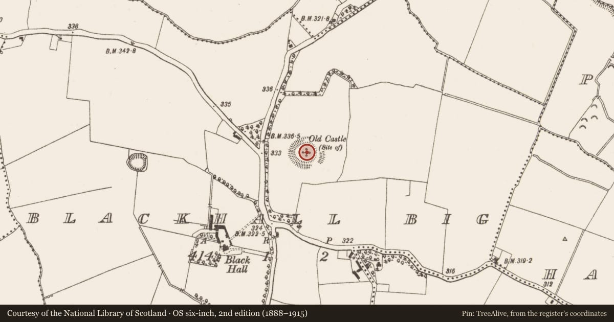Ordnance Survey six-inch map, 2nd edition (1888–1915) covering the location of Enclosure, Blackhall Big, County Meath, with a pin at the register's coordinates