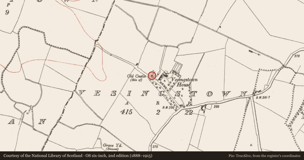 Ordnance Survey six-inch map, 2nd edition (1888–1915) covering the location of Castle - unclassified, Vesingstown, County Meath, with a pin at the register's coordinates
