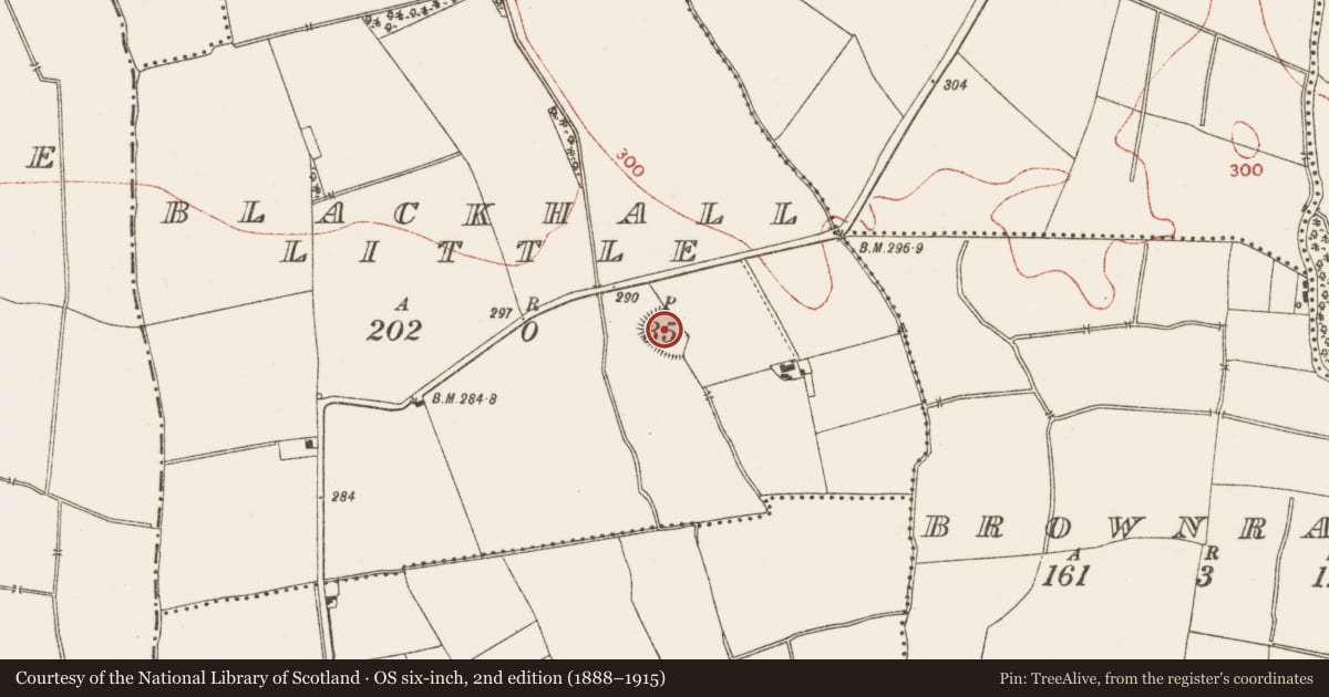 Ordnance Survey six-inch map, 2nd edition (1888–1915) covering the location of Enclosure, Blackhall Little, County Meath, with a pin at the register's coordinates