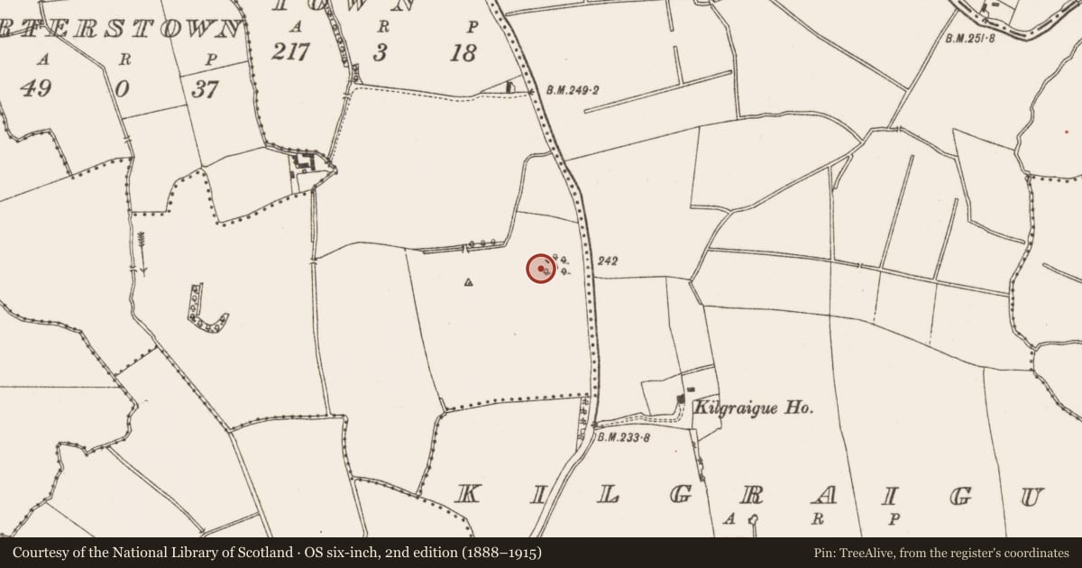 Ordnance Survey six-inch map, 2nd edition (1888–1915) covering the location of Field system, Harristown, County Meath, with a pin at the register's coordinates