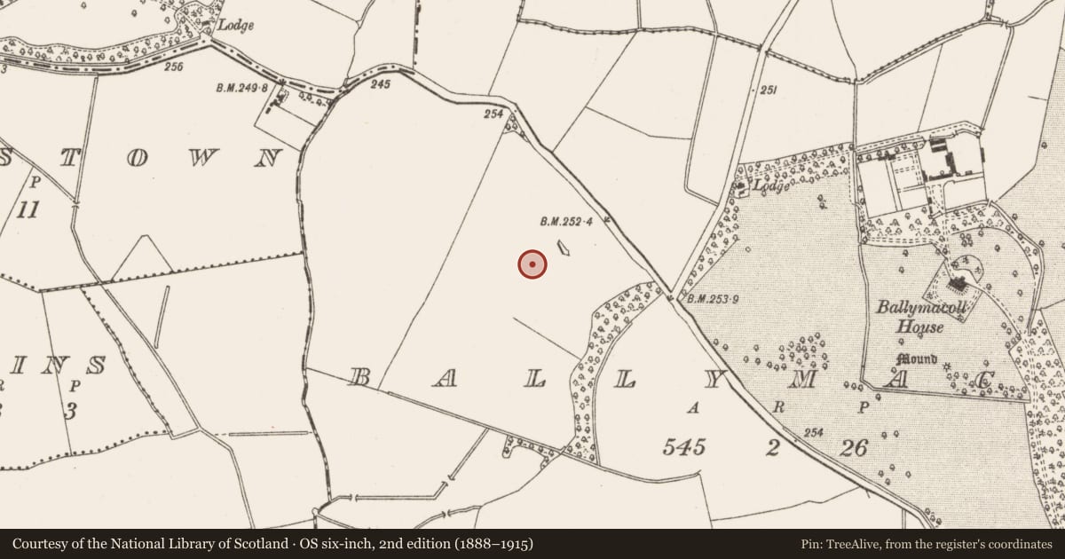 Ordnance Survey six-inch map, 2nd edition (1888–1915) covering the location of Field system, Ballymacoll, County Meath, with a pin at the register's coordinates