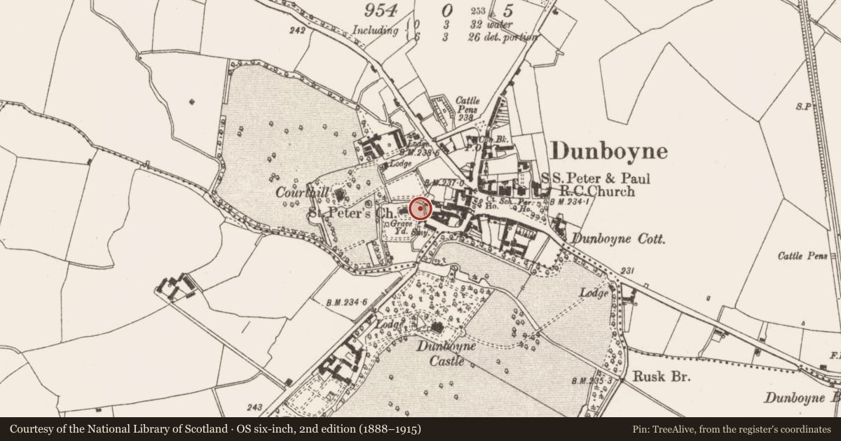 Ordnance Survey six-inch map, 2nd edition (1888–1915) covering the location of Settlement cluster, Castlefarm, Dunboyne, County Meath, with a pin at the register's coordinates