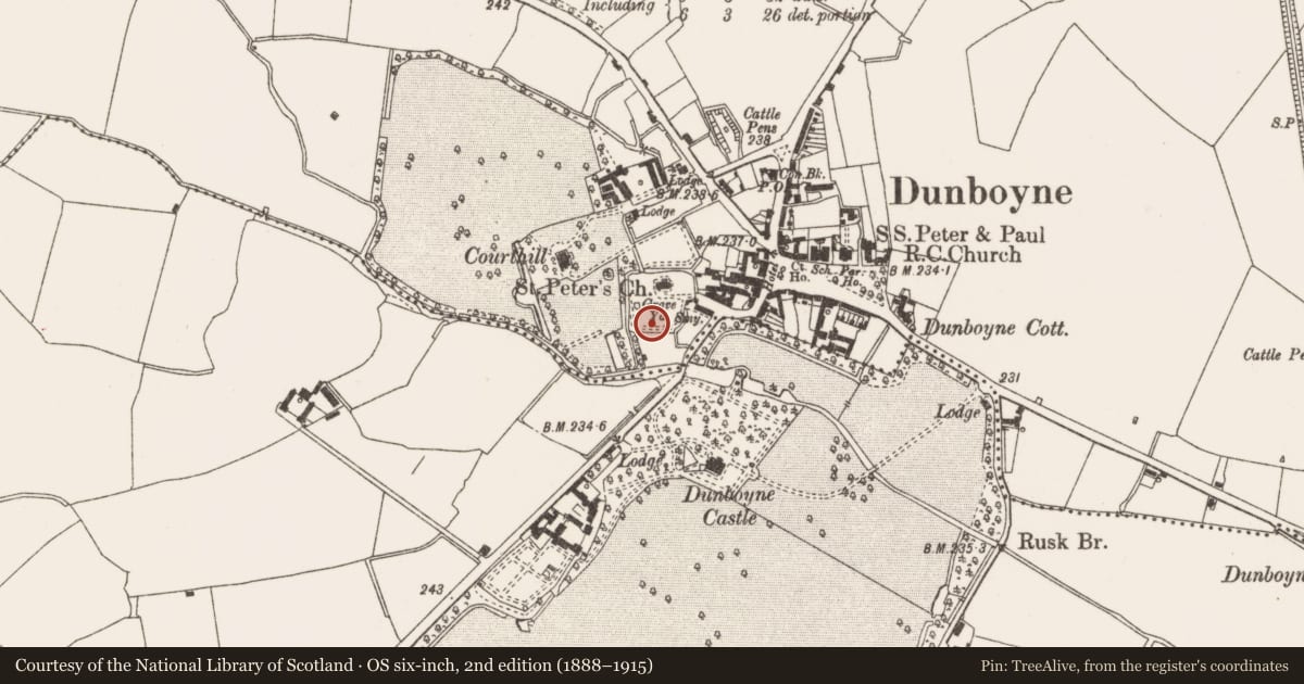 Ordnance Survey six-inch map, 2nd edition (1888–1915) covering the location of Graveyard, Dunboyne, County Meath, with a pin at the register's coordinates