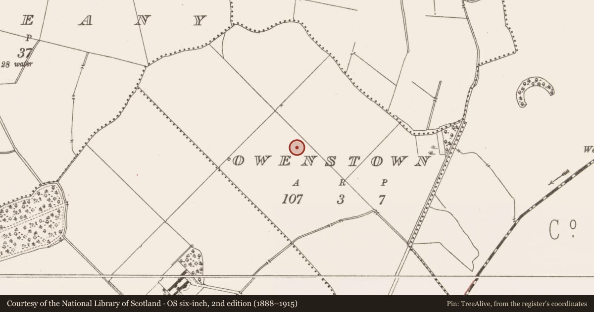 Ordnance Survey six-inch map, 2nd edition (1888–1915) covering the location of Field system, Owenstown, County Meath, with a pin at the register's coordinates