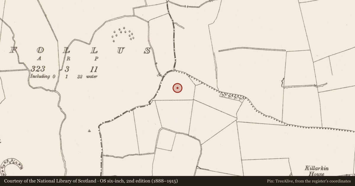 Ordnance Survey six-inch map, 2nd edition (1888–1915) covering the location of Concentric enclosure, Salestown, County Meath, with a pin at the register's coordinates