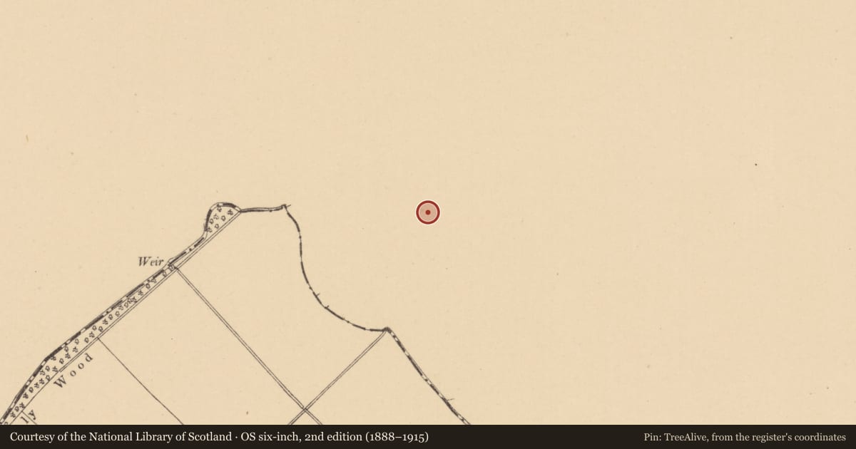 Ordnance Survey six-inch map, 2nd edition (1888–1915) covering the location of Graveyard, Salestown, County Meath, with a pin at the register's coordinates