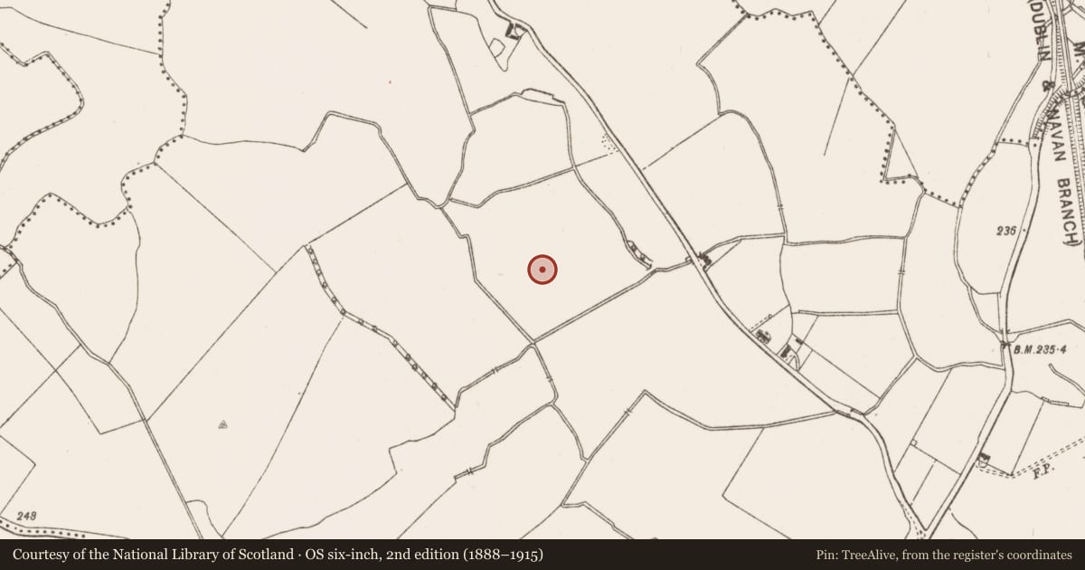 Ordnance Survey six-inch map, 2nd edition (1888–1915) covering the location of Field system, Dunboyne, County Meath, with a pin at the register's coordinates