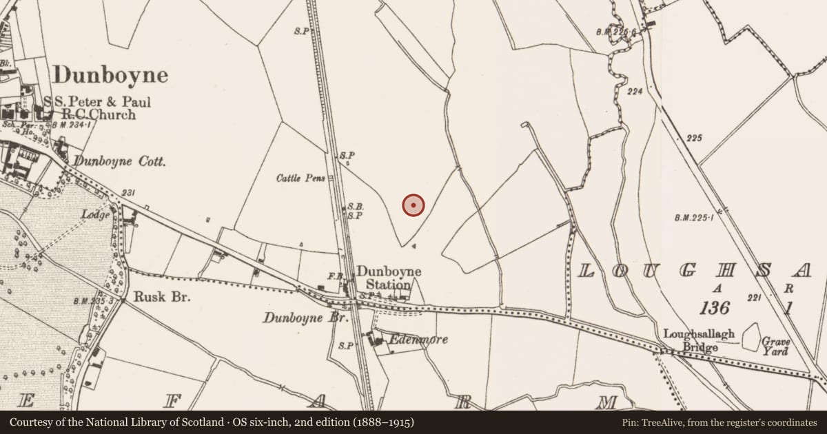 Ordnance Survey six-inch map, 2nd edition (1888–1915) covering the location of Enclosure, Dunboyne, County Meath, with a pin at the register's coordinates
