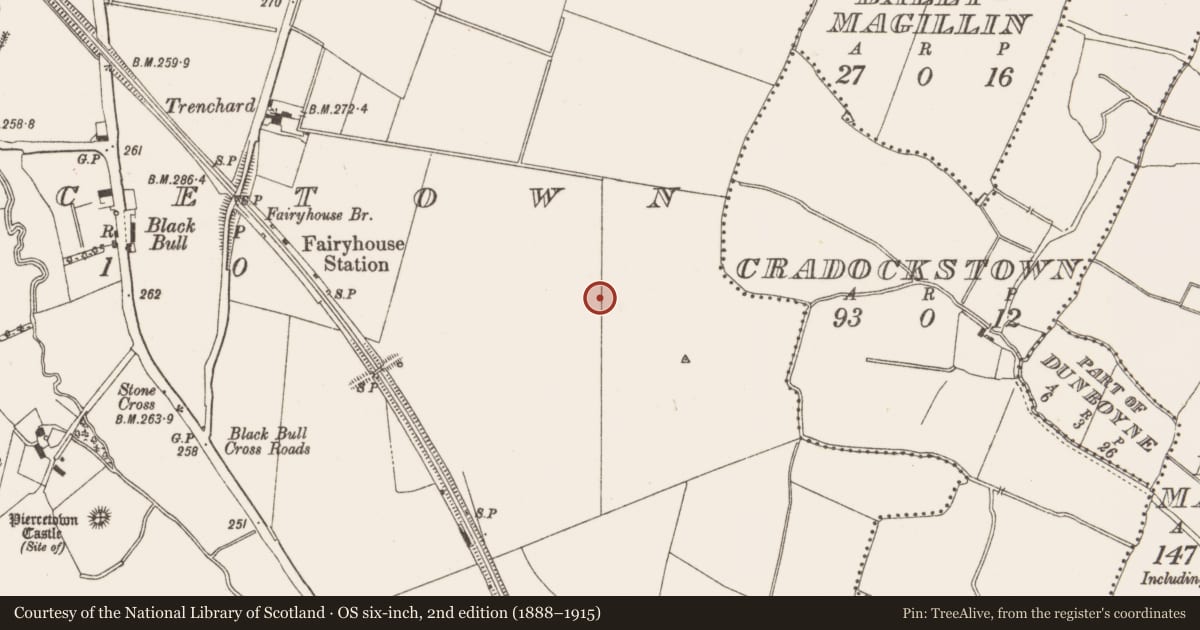 Ordnance Survey six-inch map, 2nd edition (1888–1915) covering the location of Enclosure - large enclosure, Piercetown, County Meath, with a pin at the register's coordinates