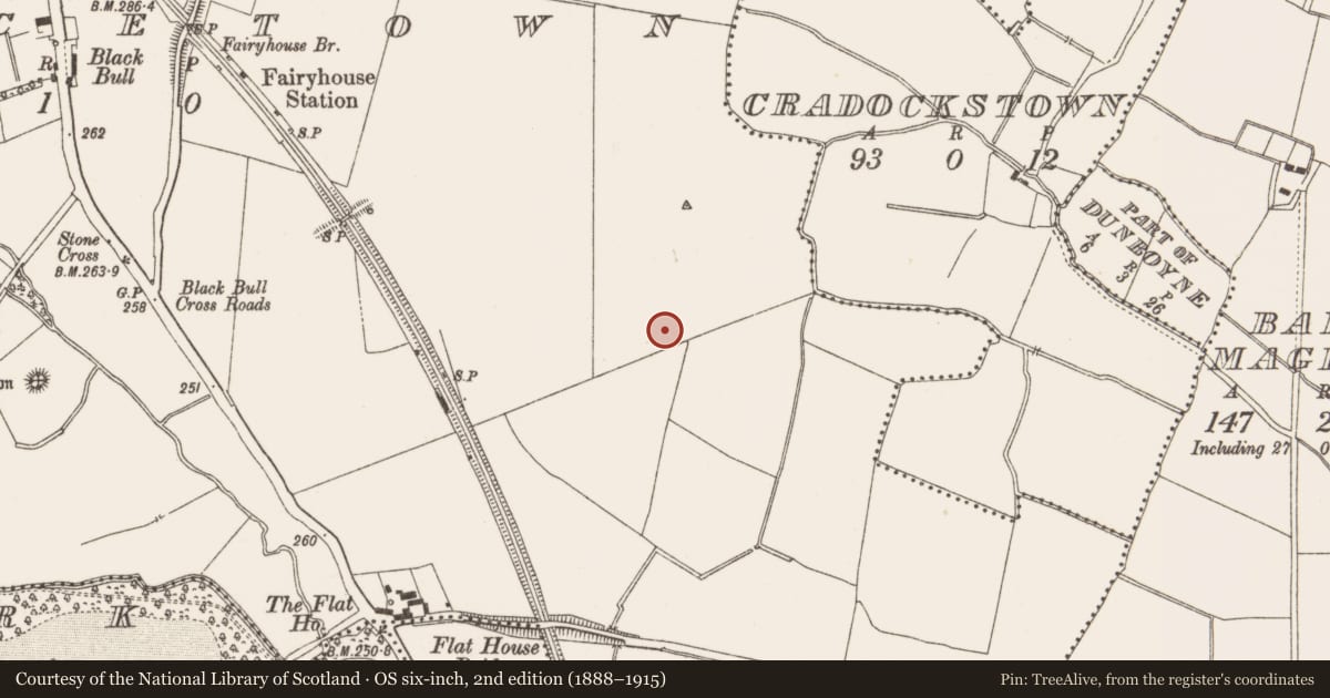 Ordnance Survey six-inch map, 2nd edition (1888–1915) covering the location of Enclosure, Piercetown, County Meath, with a pin at the register's coordinates