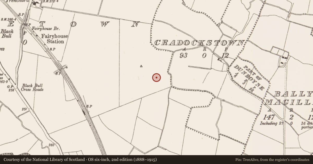 Ordnance Survey six-inch map, 2nd edition (1888–1915) covering the location of Pit, Piercetown, County Meath, with a pin at the register's coordinates